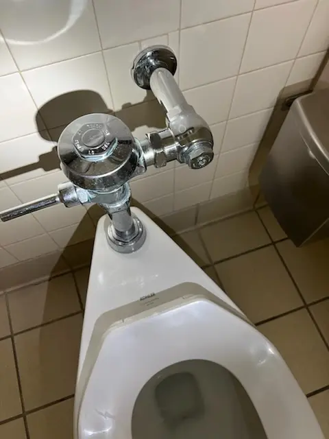 Fixture installation and repair for Garbage Disposal in Plum